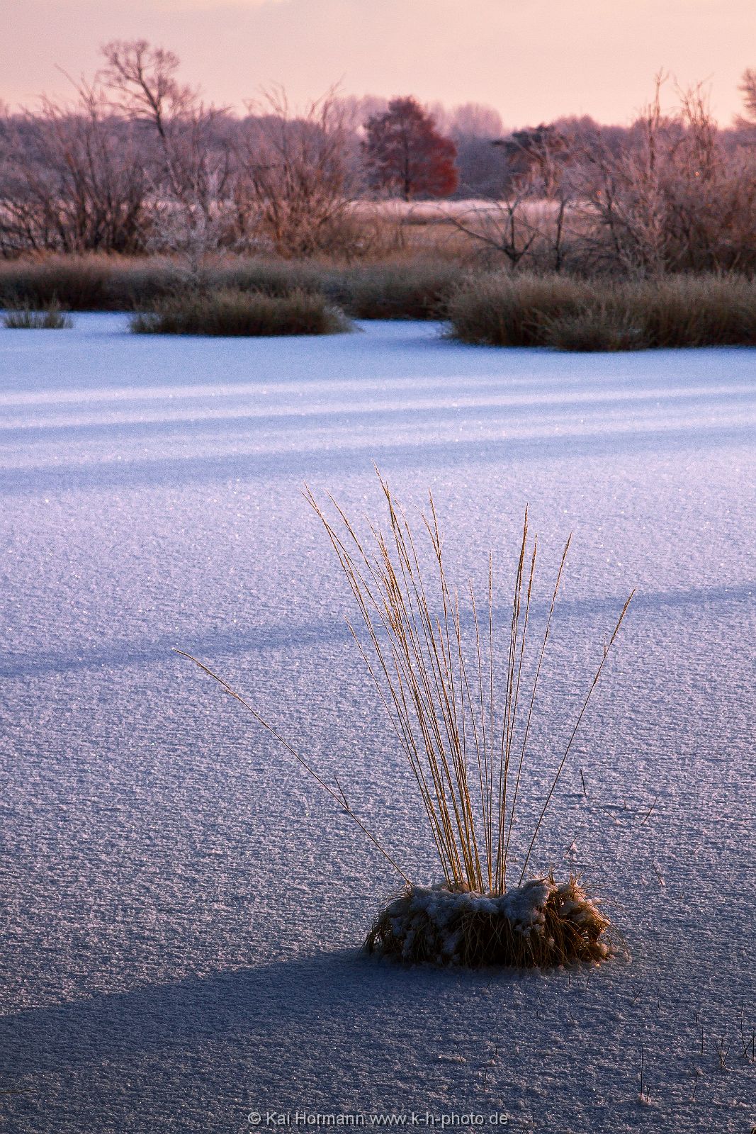 Großes Torfmoor Das Große Torfmoor.