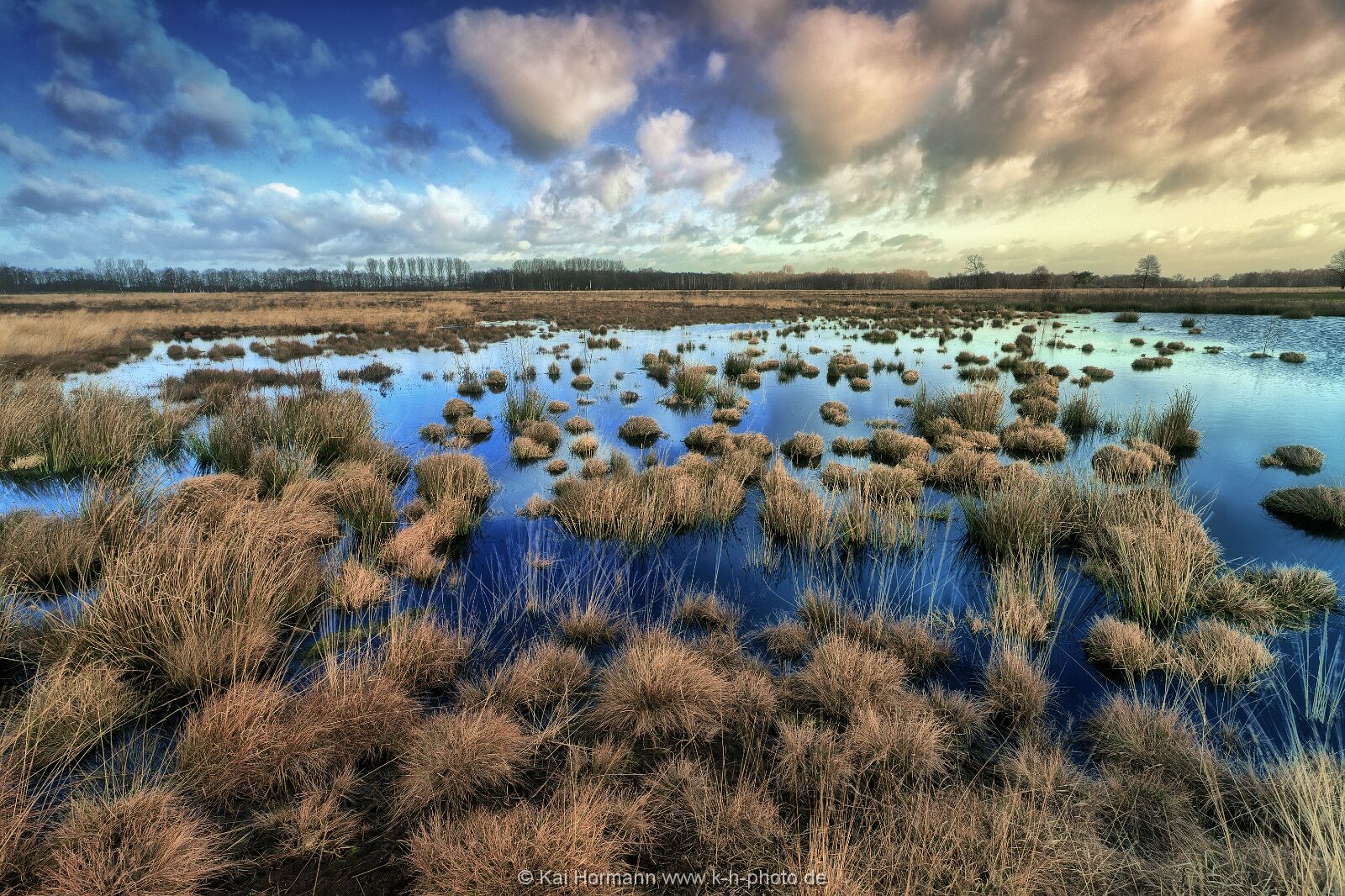 Großes Torfmoor Das Große Torfmoor.