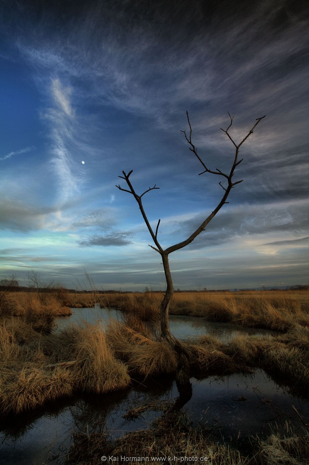 Großes Torfmoor Das Große Torfmoor.