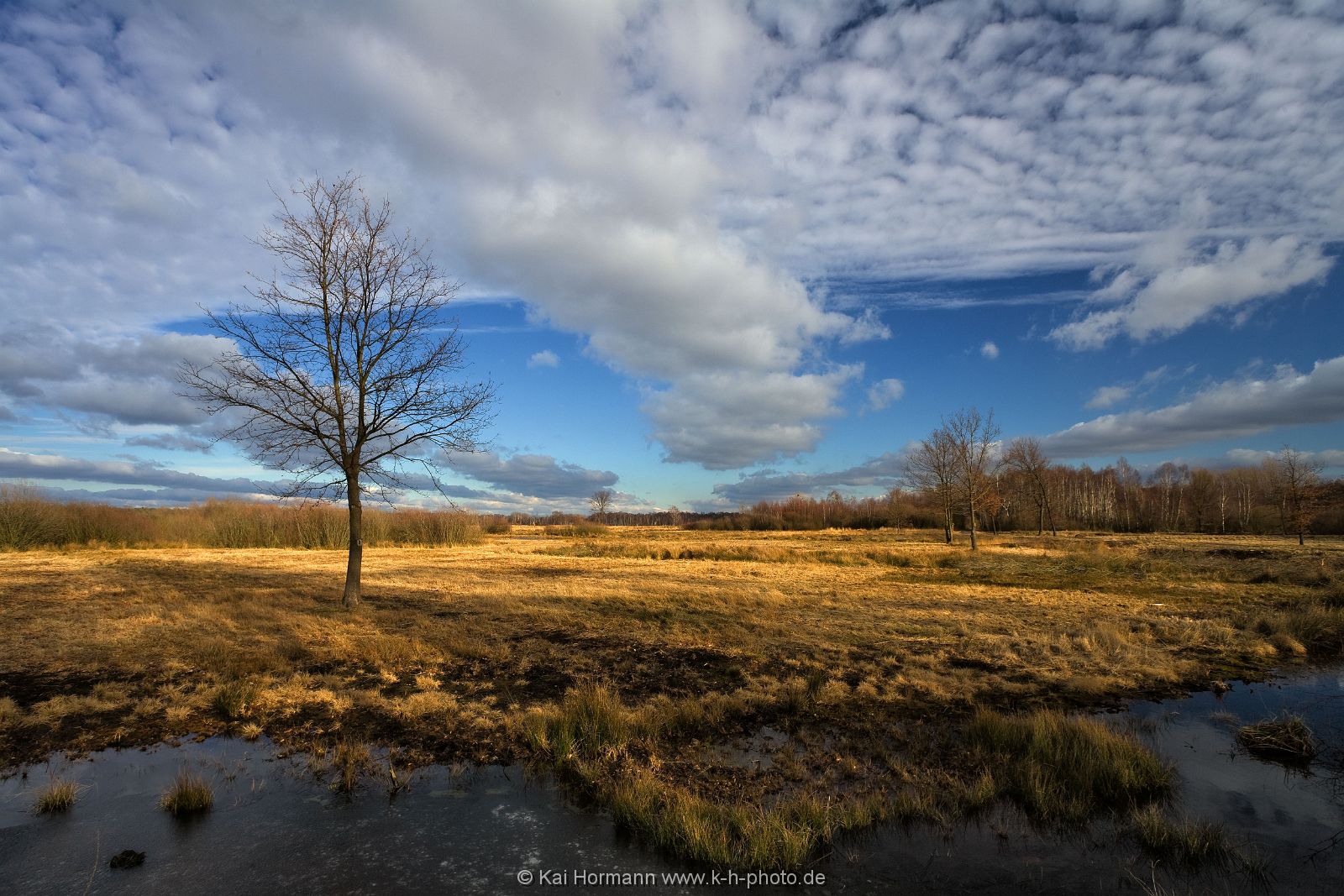 Großes Torfmoor Das Große Torfmoor.