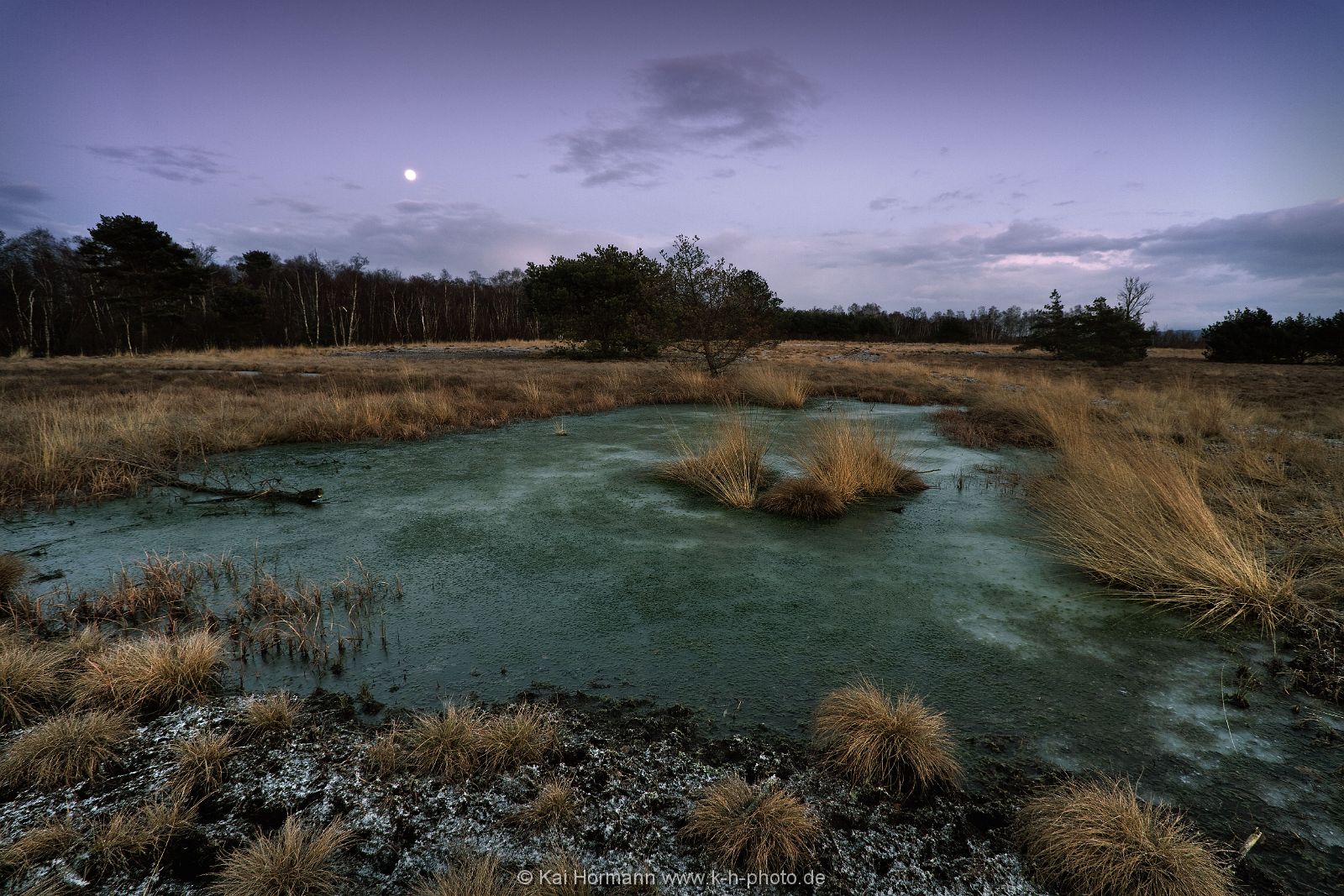 Großes Torfmoor Das Große Torfmoor.