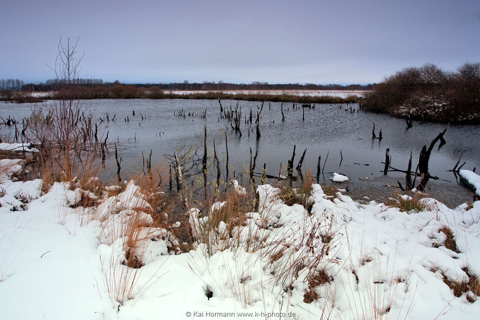 Großes Torfmoor Das Große Torfmoor.