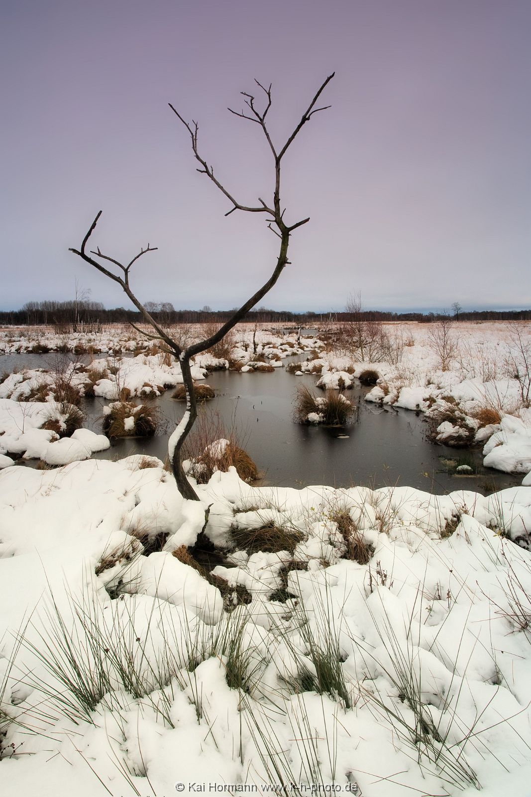 Großes Torfmoor Das Große Torfmoor.