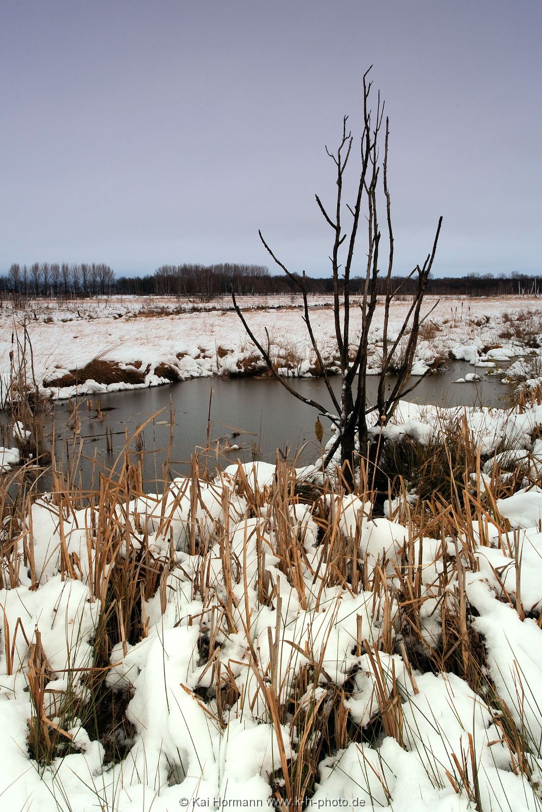 Großes Torfmoor Das Große Torfmoor.