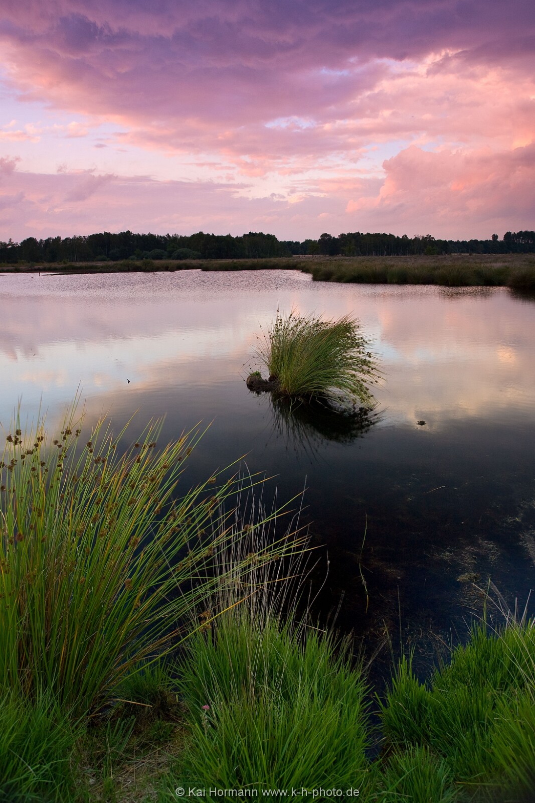Großes Torfmoor Das Große Torfmoor.