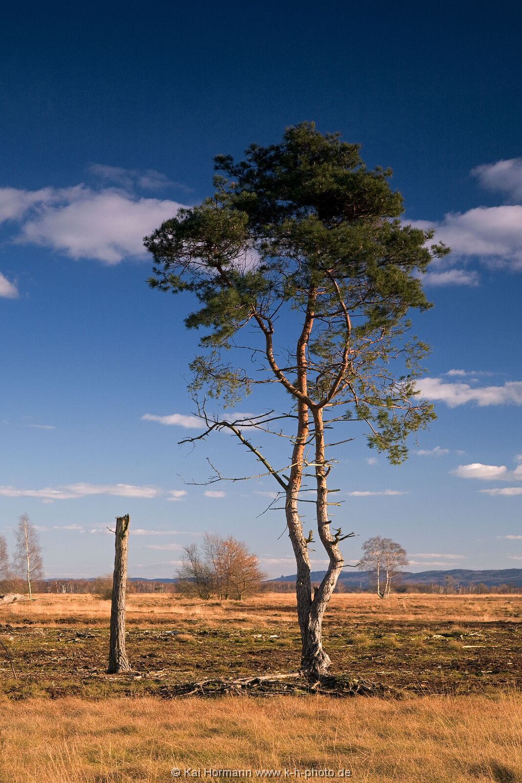 Großes Torfmoor Das Große Torfmoor.