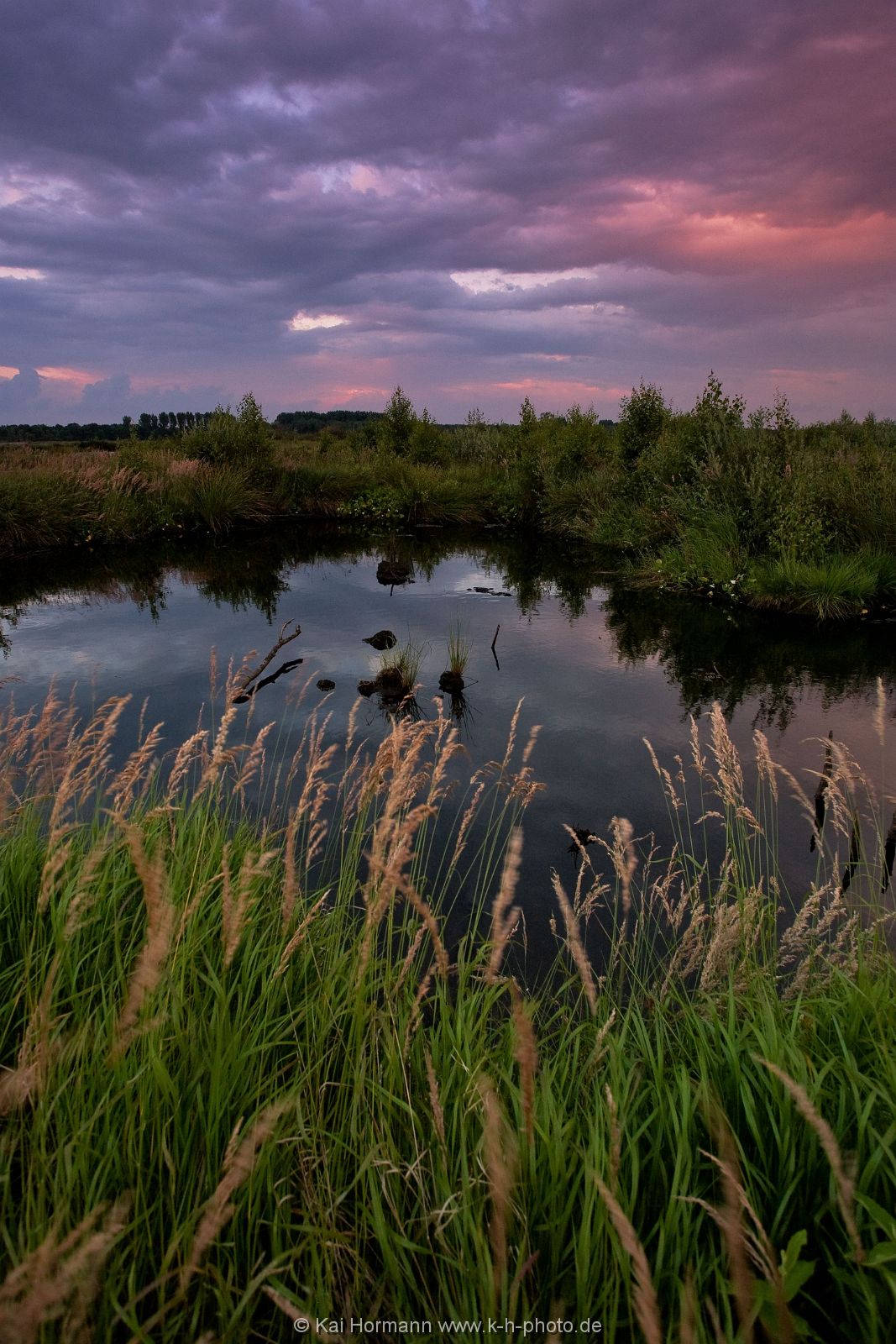 Großes Torfmoor Das Große Torfmoor.