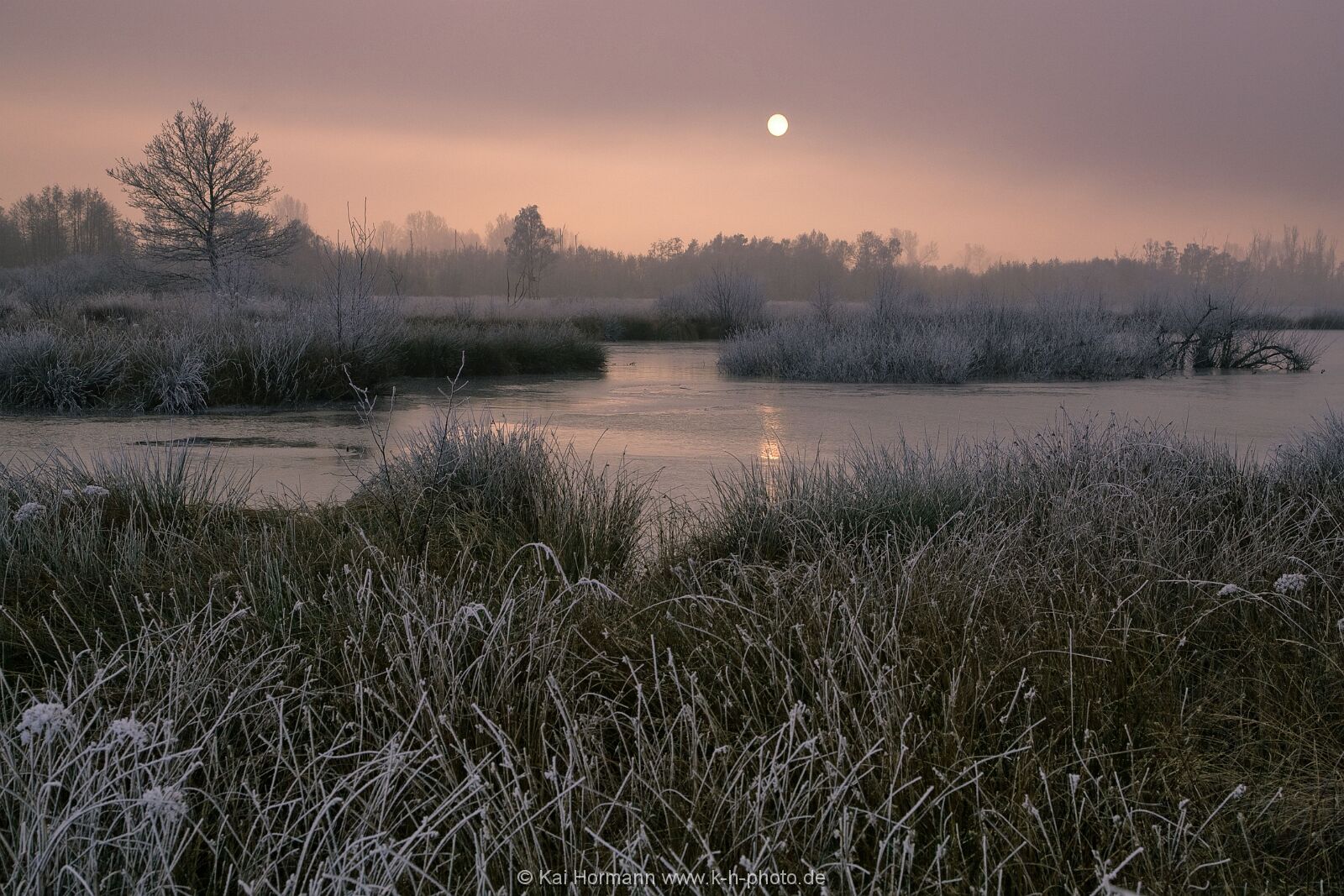 Großes Torfmoor Das Große Torfmoor.