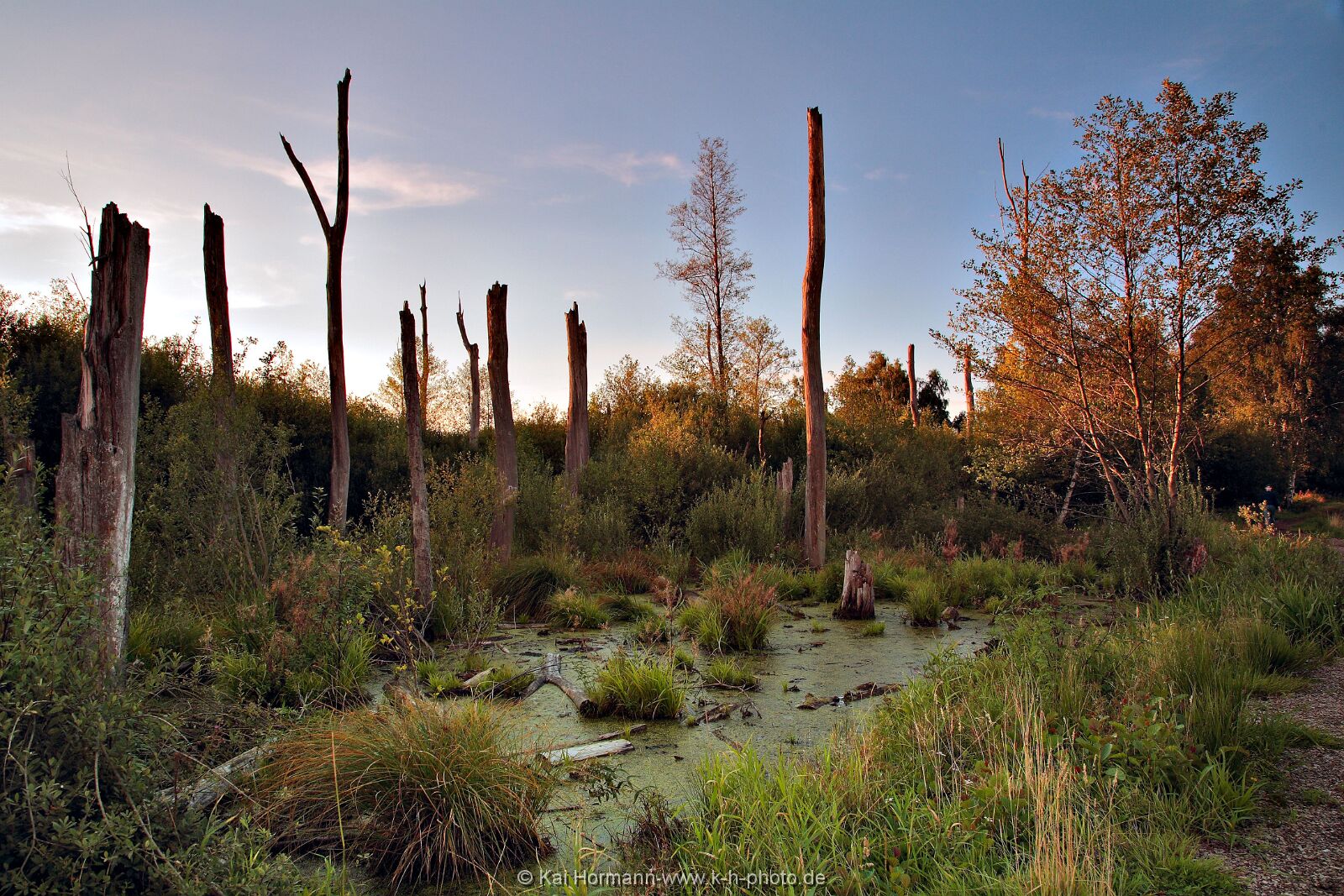 Großes Torfmoor Das Große Torfmoor.
