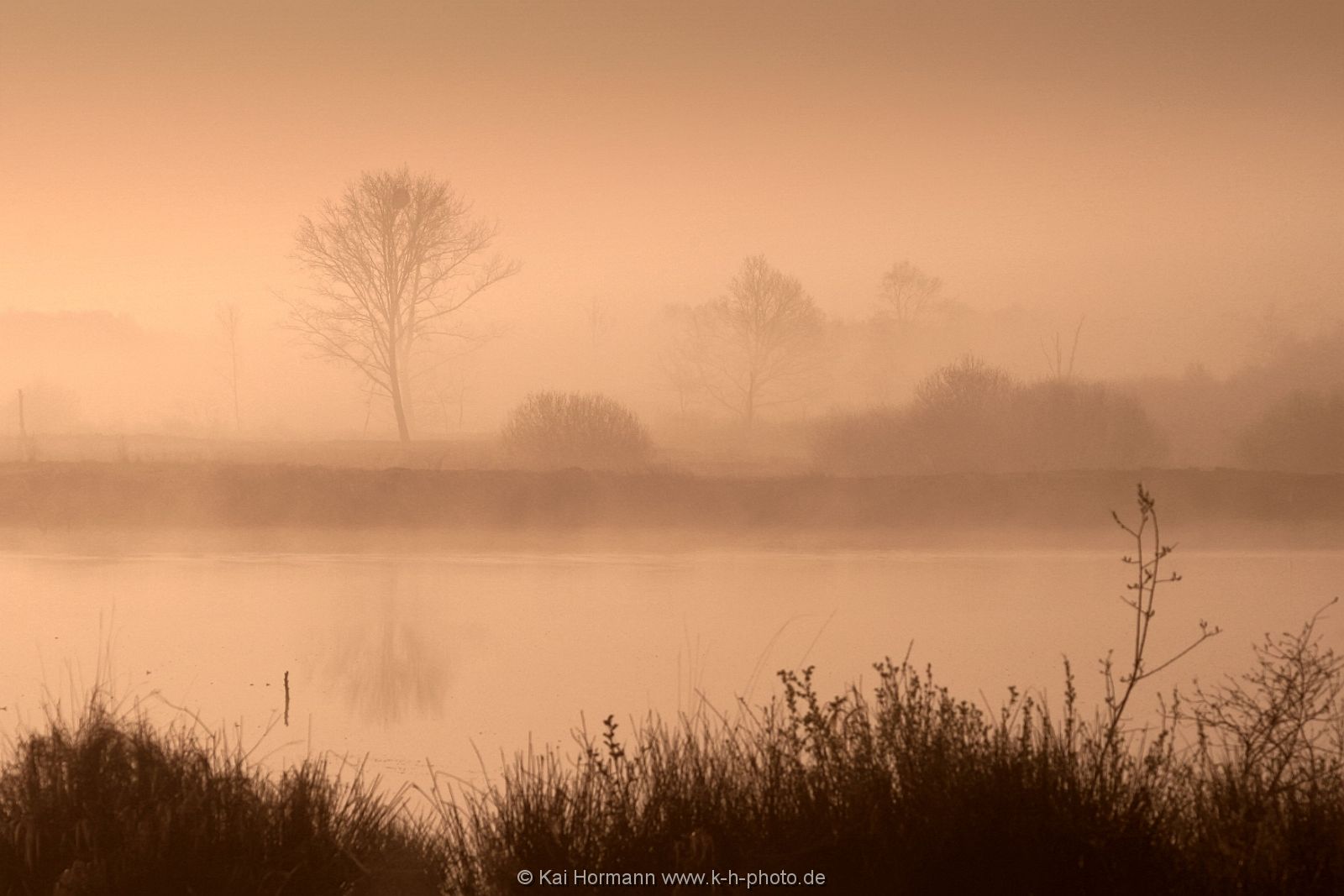 Großes Torfmoor Das Große Torfmoor.