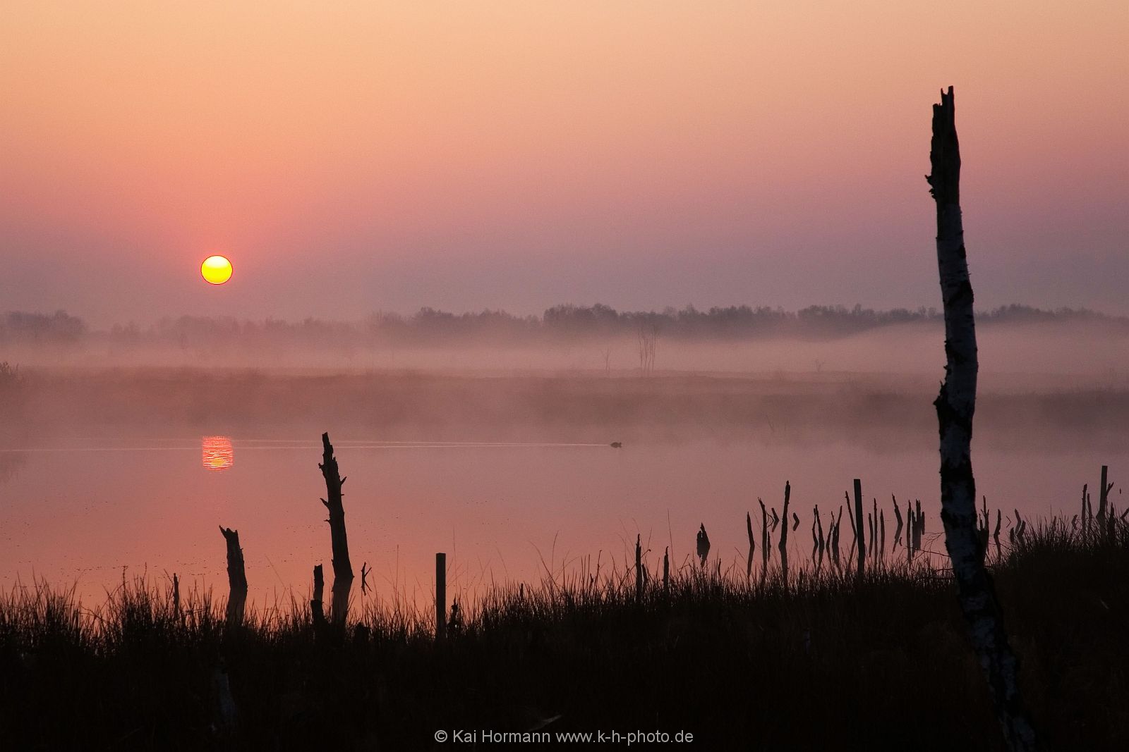 Großes Torfmoor Das Große Torfmoor.