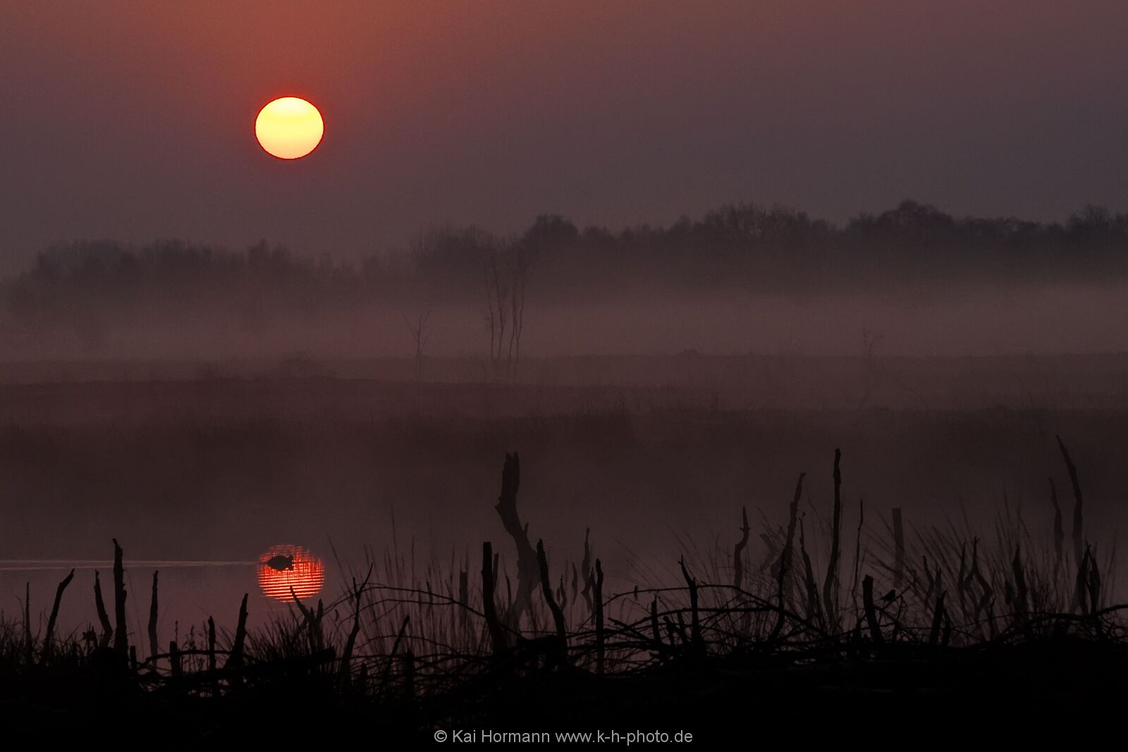 Großes Torfmoor Das Große Torfmoor.