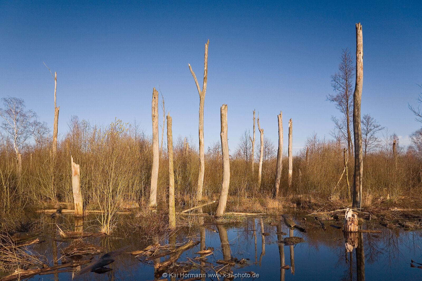 Großes Torfmoor Das Große Torfmoor.