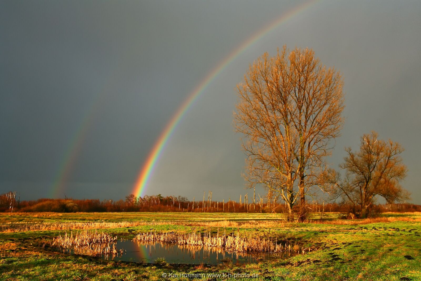 Großes Torfmoor Das Große Torfmoor.