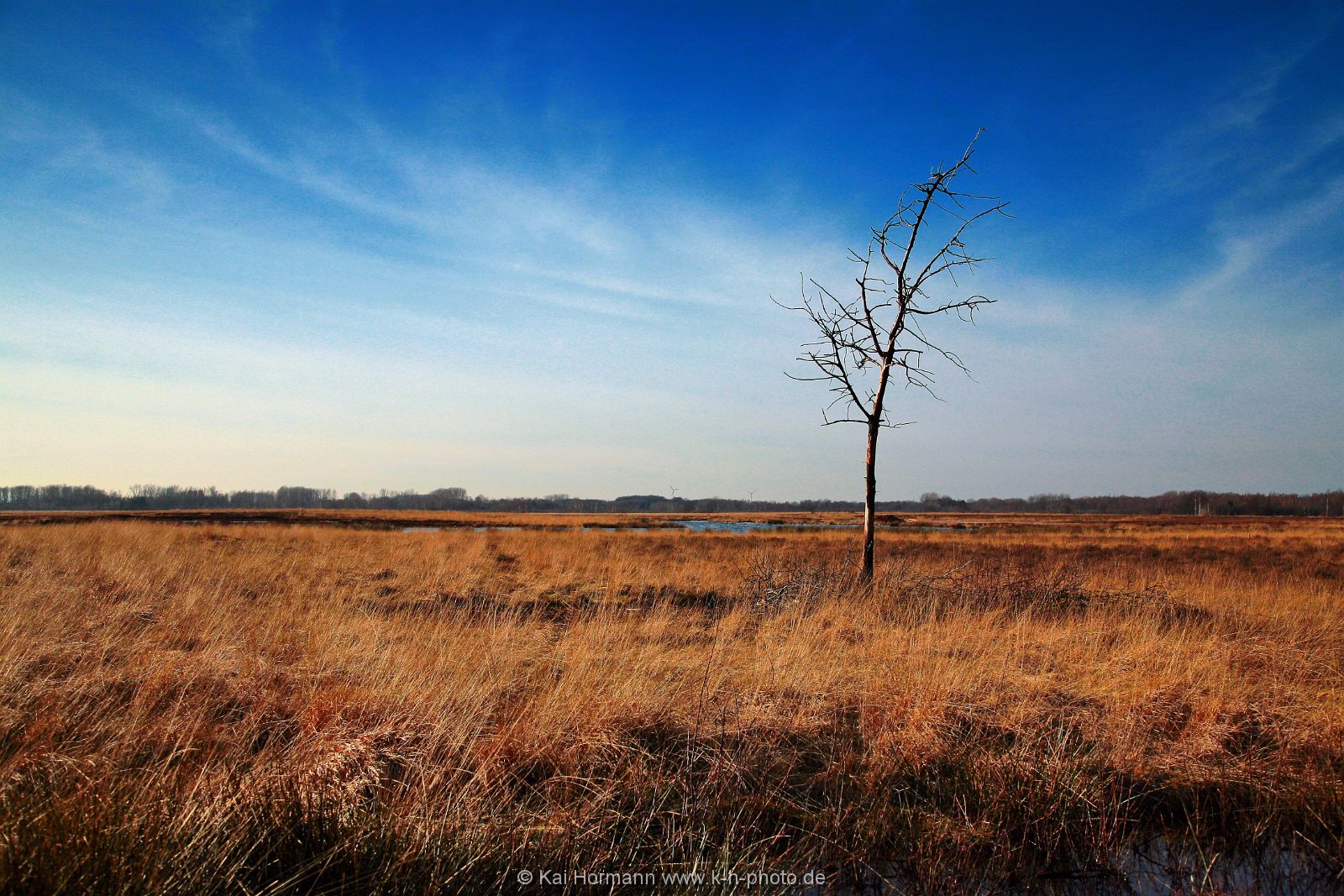 Großes Torfmoor Das Große Torfmoor.