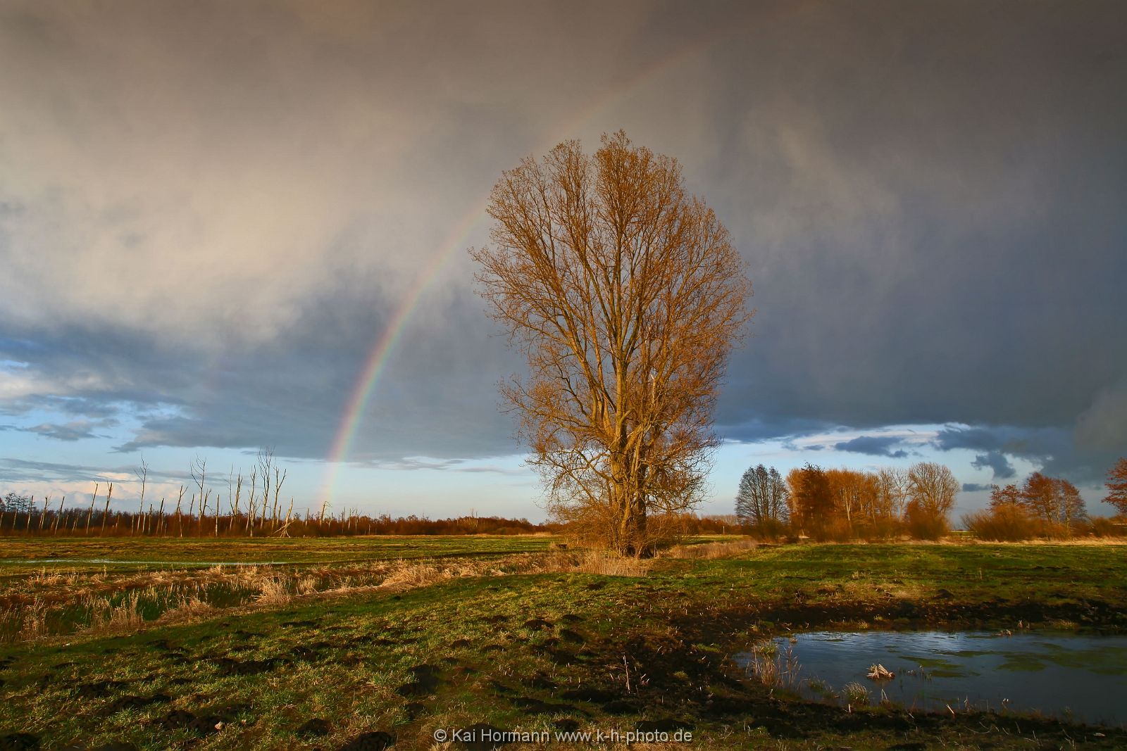 Großes Torfmoor Das Große Torfmoor.