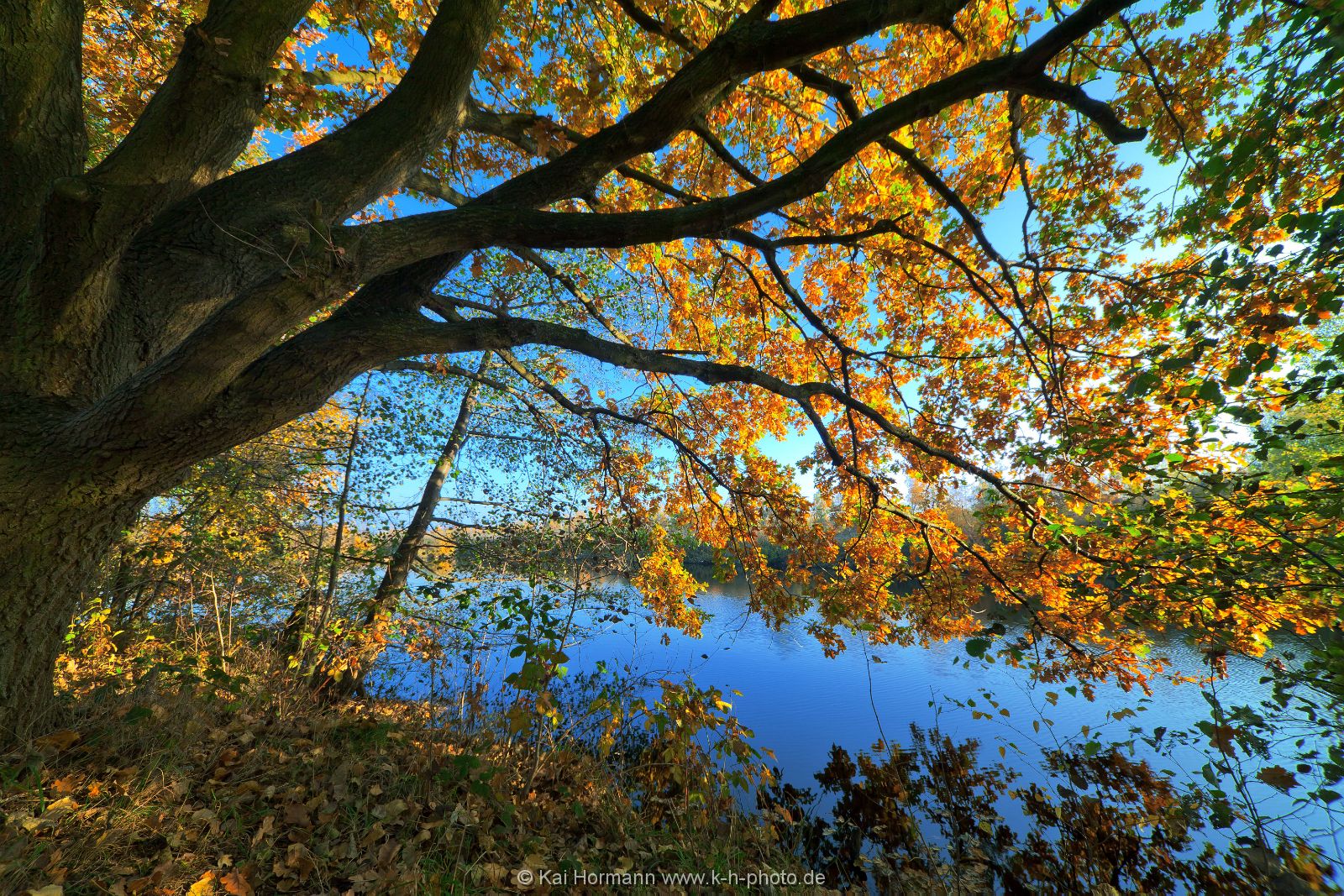 Großes Torfmoor Das Große Torfmoor.
