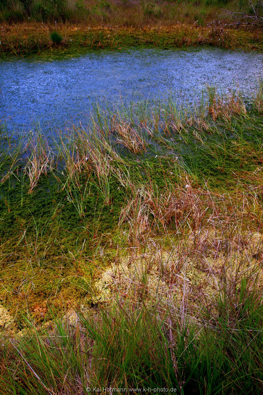 Großes Torfmoor Das Große Torfmoor.