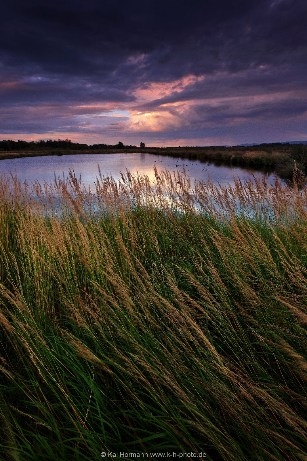 Großes Torfmoor Das Große Torfmoor.