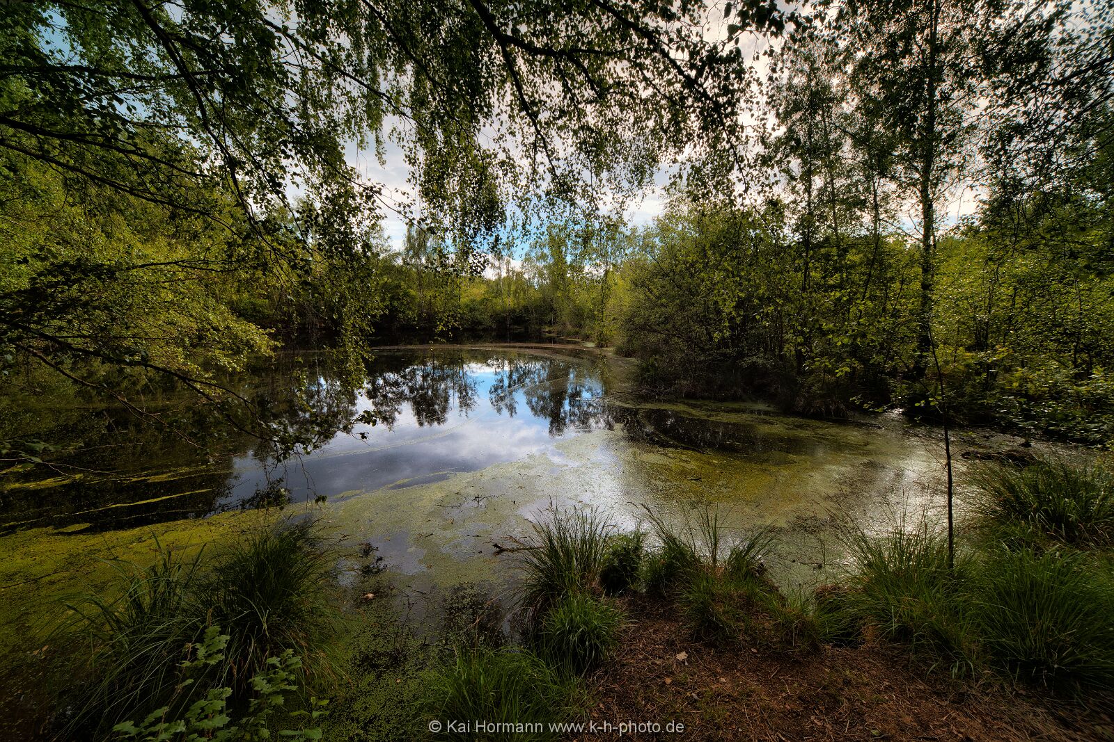 Großes Torfmoor Das Große Torfmoor.
