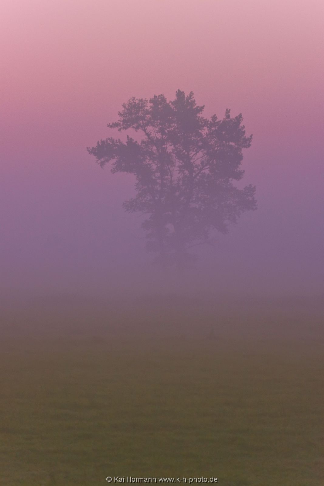 Großes Torfmoor Das Große Torfmoor.