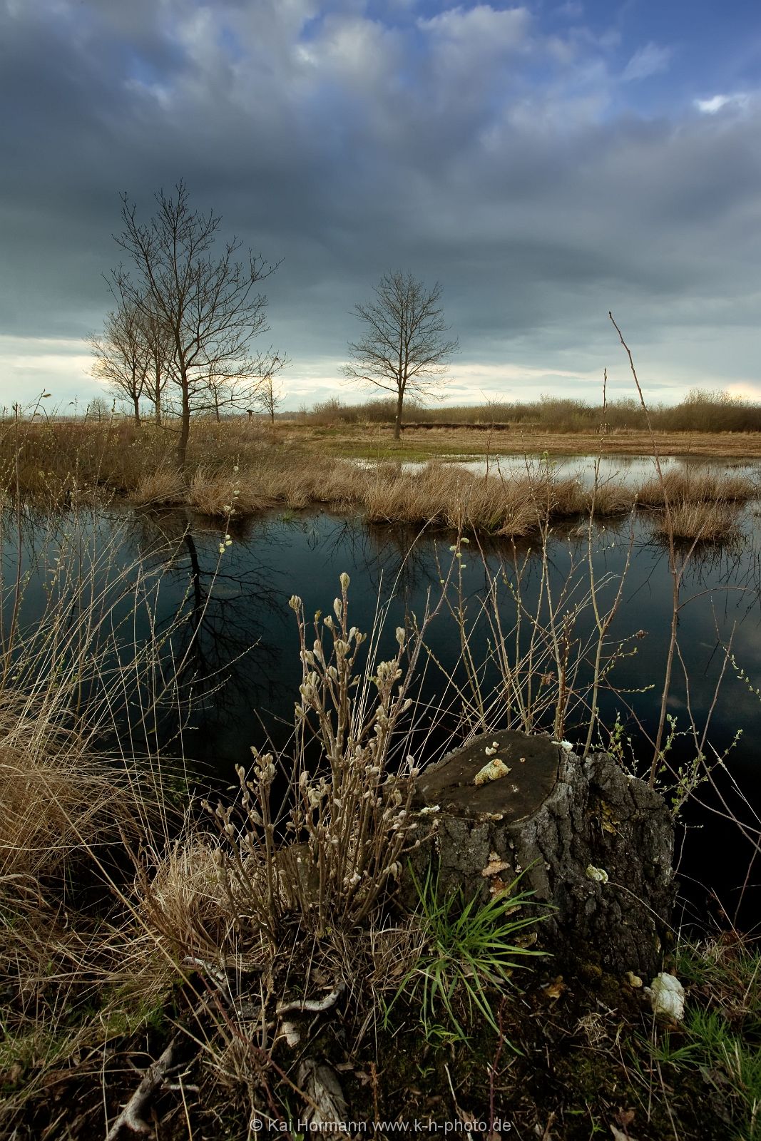 Großes Torfmoor Das Große Torfmoor.