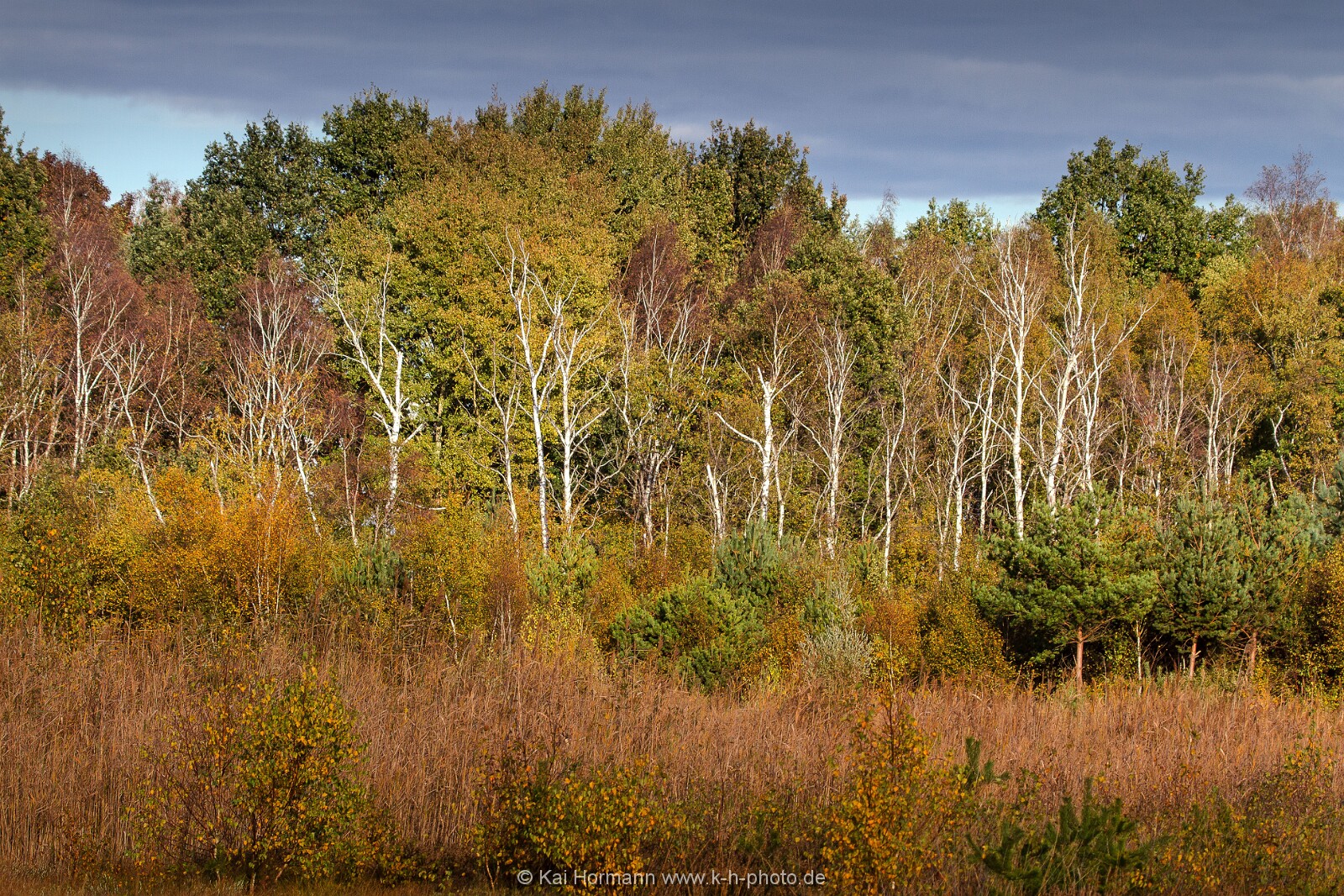 Großes Torfmoor Das Große Torfmoor.