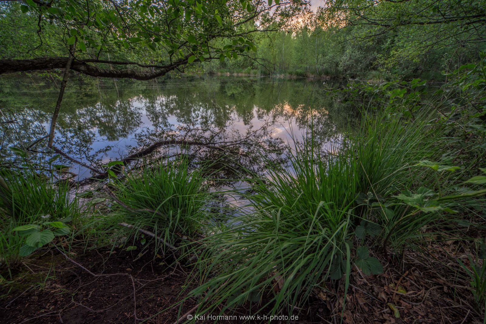 Großes Torfmoor Das Große Torfmoor.