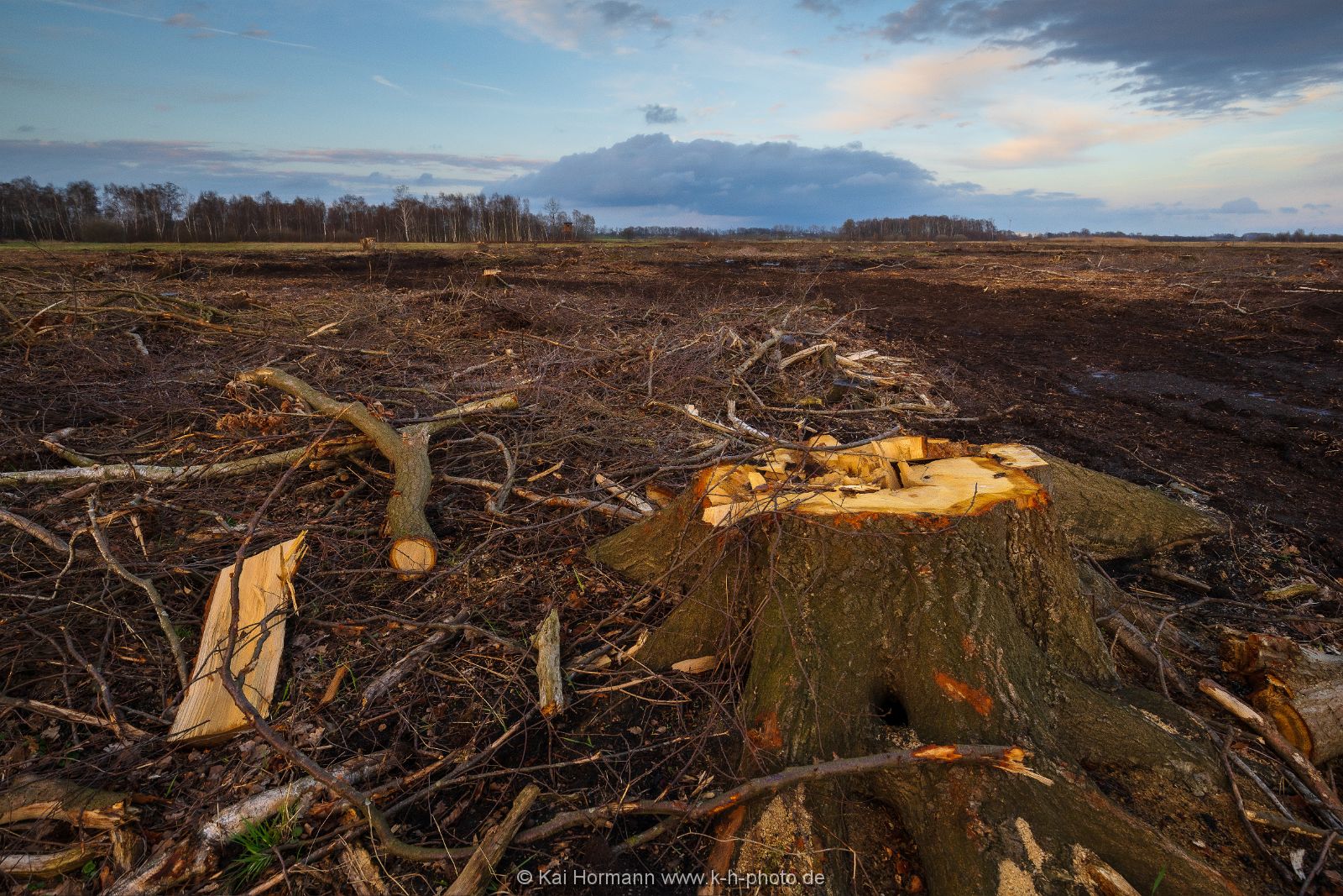 Klimaschutz im großen Torfmoor und Bastauwiesen ? Fehlgeleiteter Naturschutz im Kreis Minden-Lübbecke.