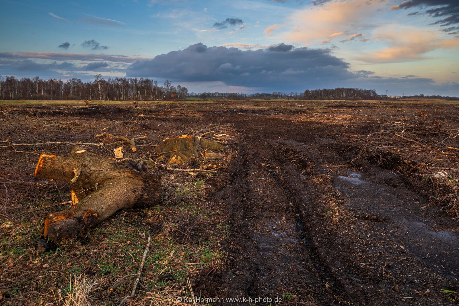 Artenschutz im großen Torfmoor und Bastauwiesen ? Fehlgeleiteter Naturschutz im Kreis Minden-Lübbecke.