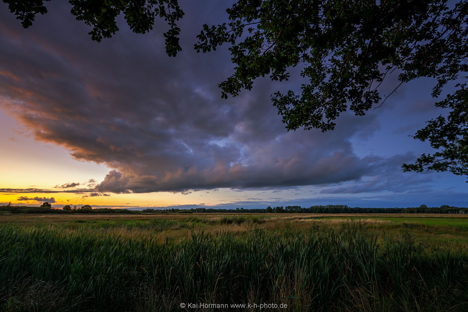 Großes Torfmoor Das Große Torfmoor.