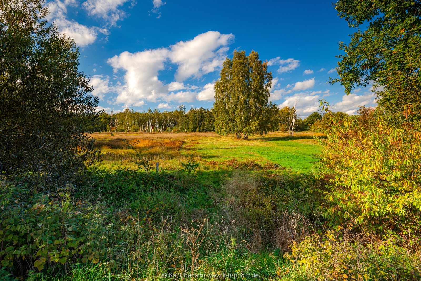 Goldener Oktober im östlichen Moor. Bild 9. 