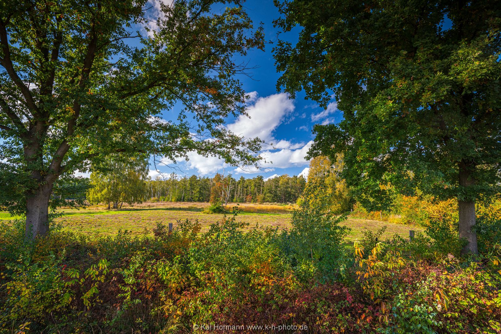 Goldener Oktober im östlichen Moor. Bild 10. 