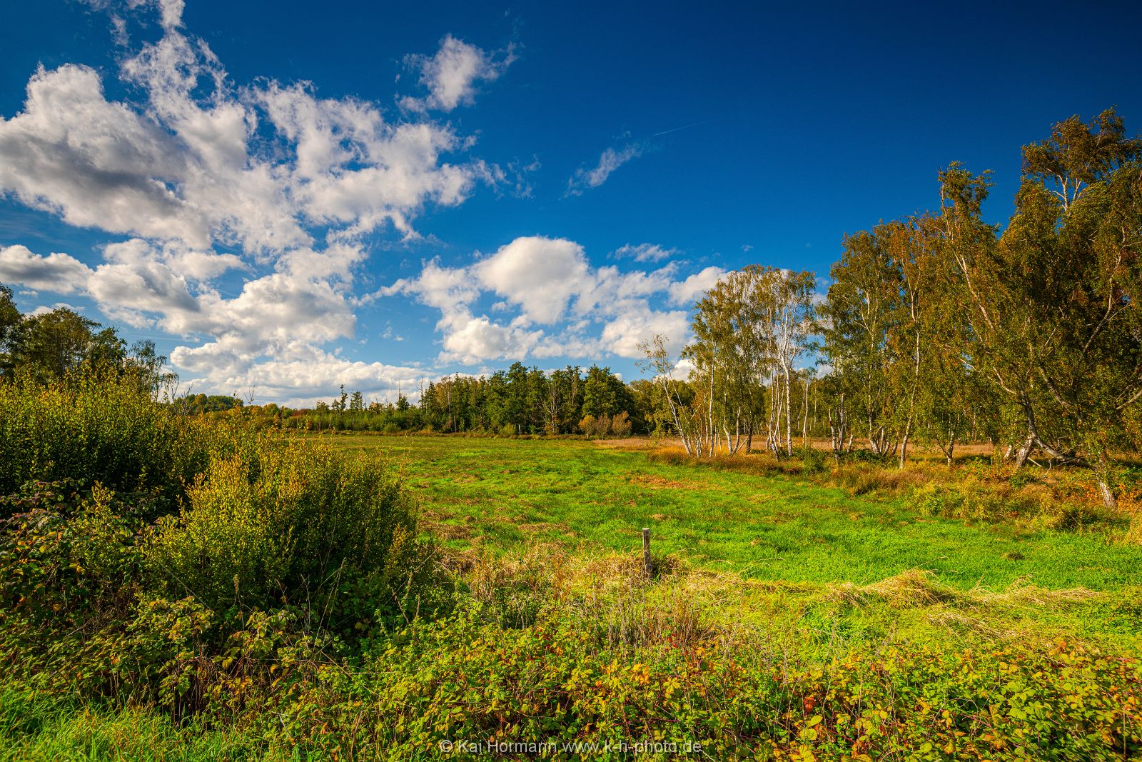 Goldener Oktober im östlichen Moor. Bild 3. 