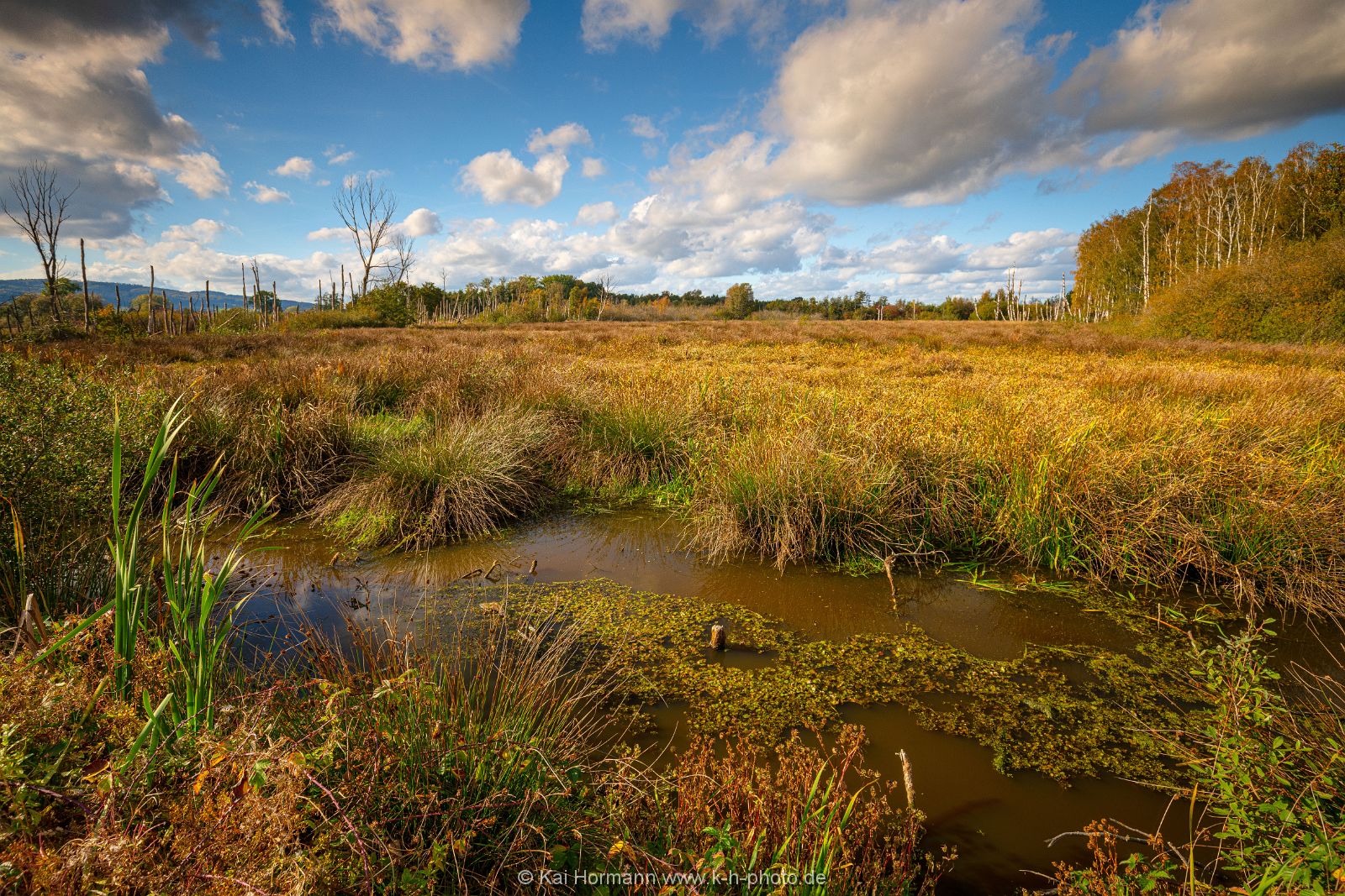 Goldener Oktober im östlichen Moor. Bild 5. 