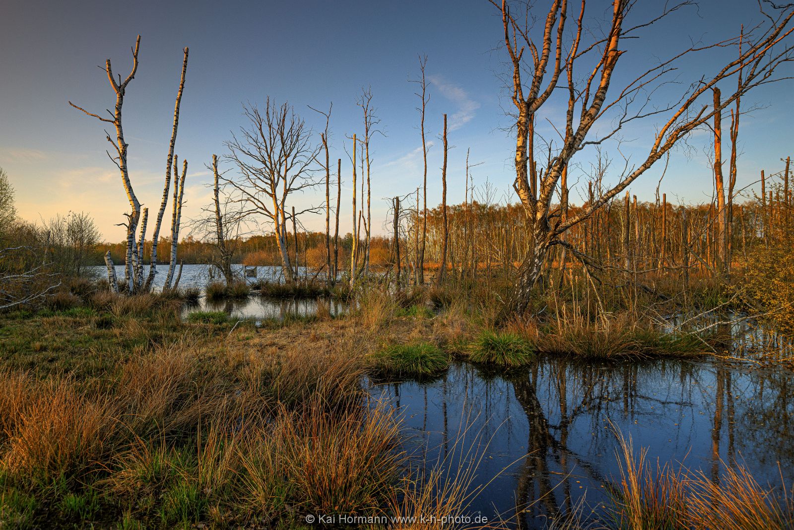 Großes Torfmoor Das Große Torfmoor.