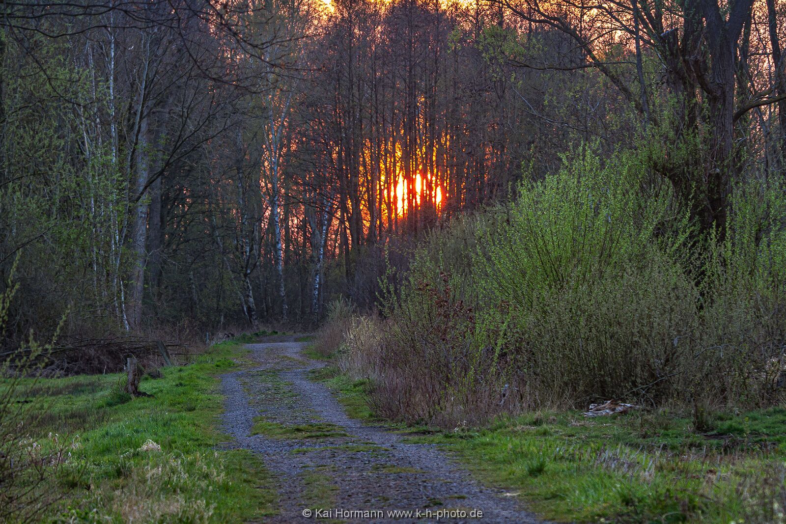 Großes Torfmoor Das Große Torfmoor.