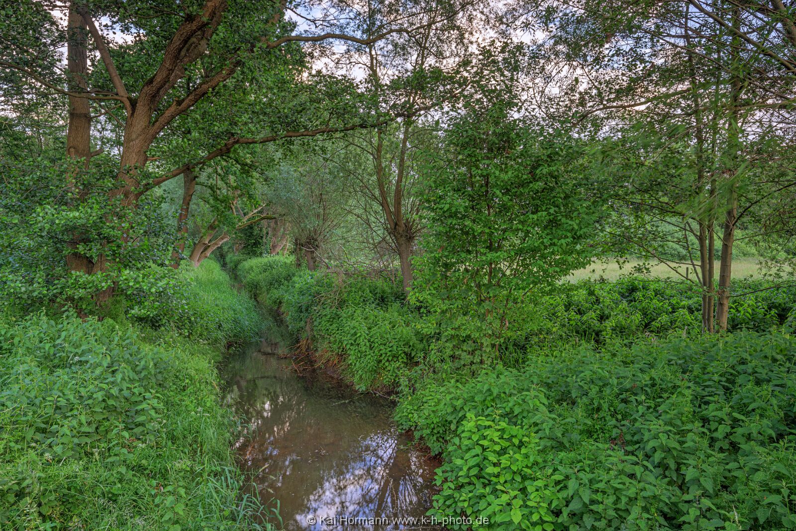Großes Torfmoor Das Große Torfmoor.