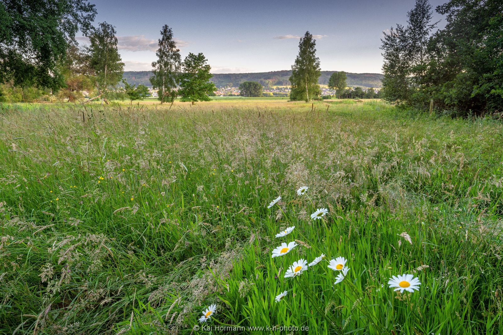 Großes Torfmoor Das Große Torfmoor.