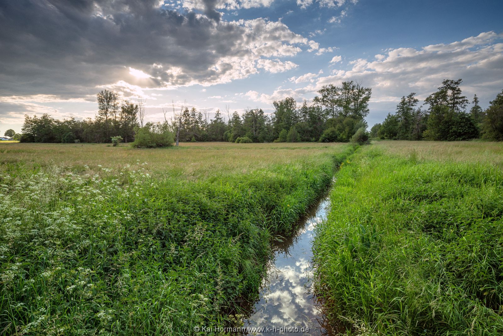Großes Torfmoor Das Große Torfmoor.