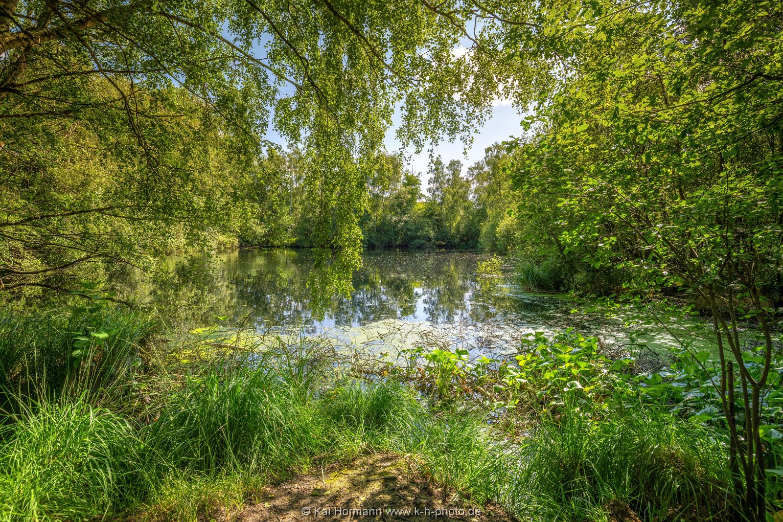 Großes Torfmoor Das Große Torfmoor.
