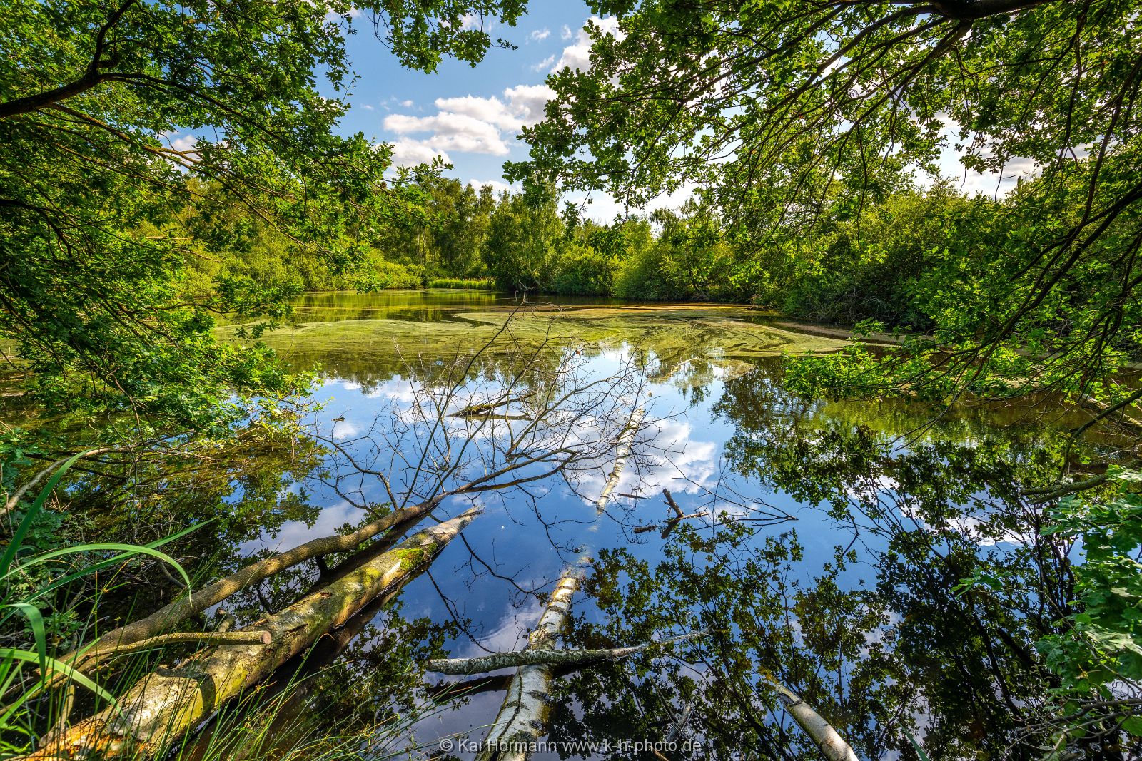 Großes Torfmoor Das Große Torfmoor.