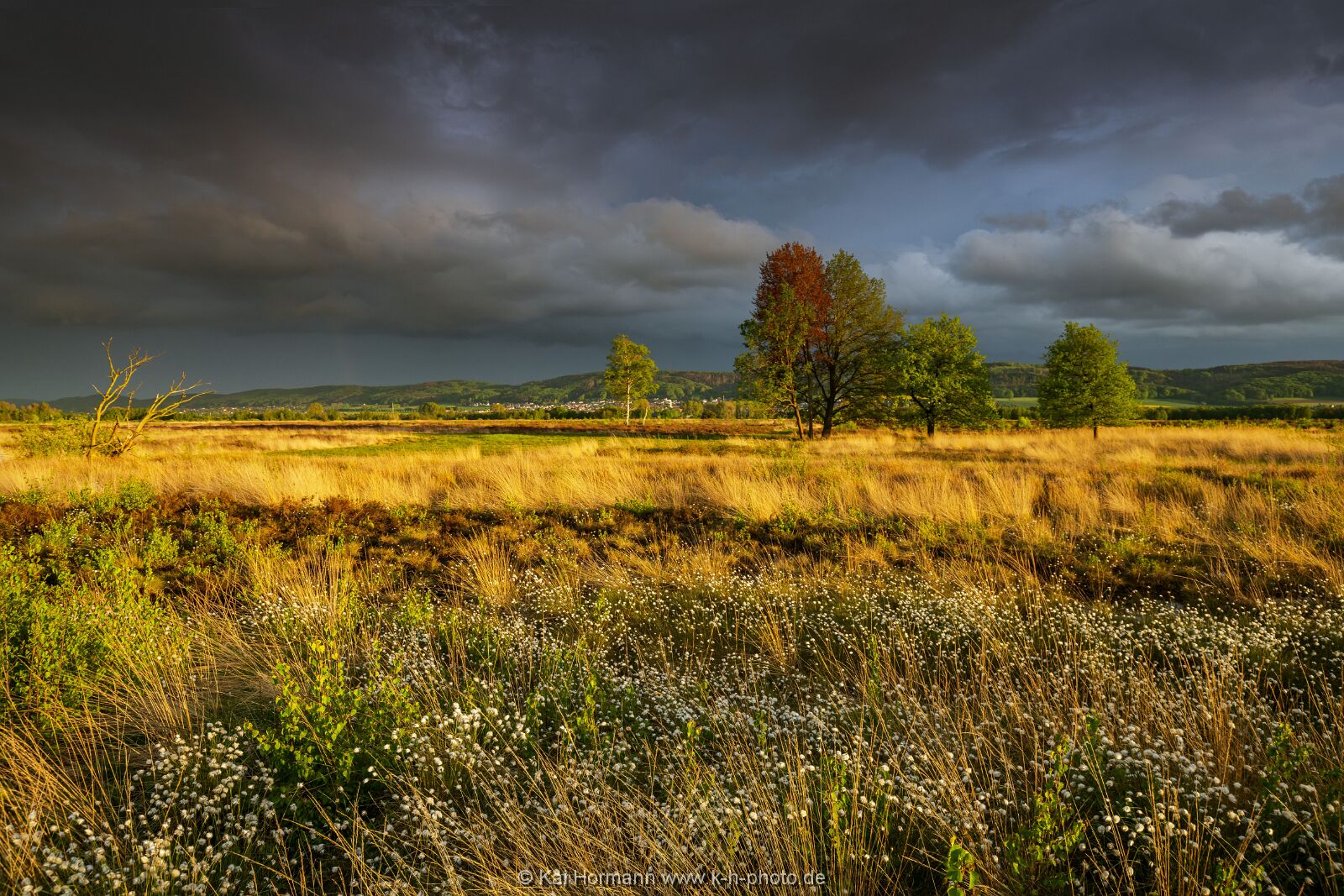 Großes Torfmoor Das Große Torfmoor.