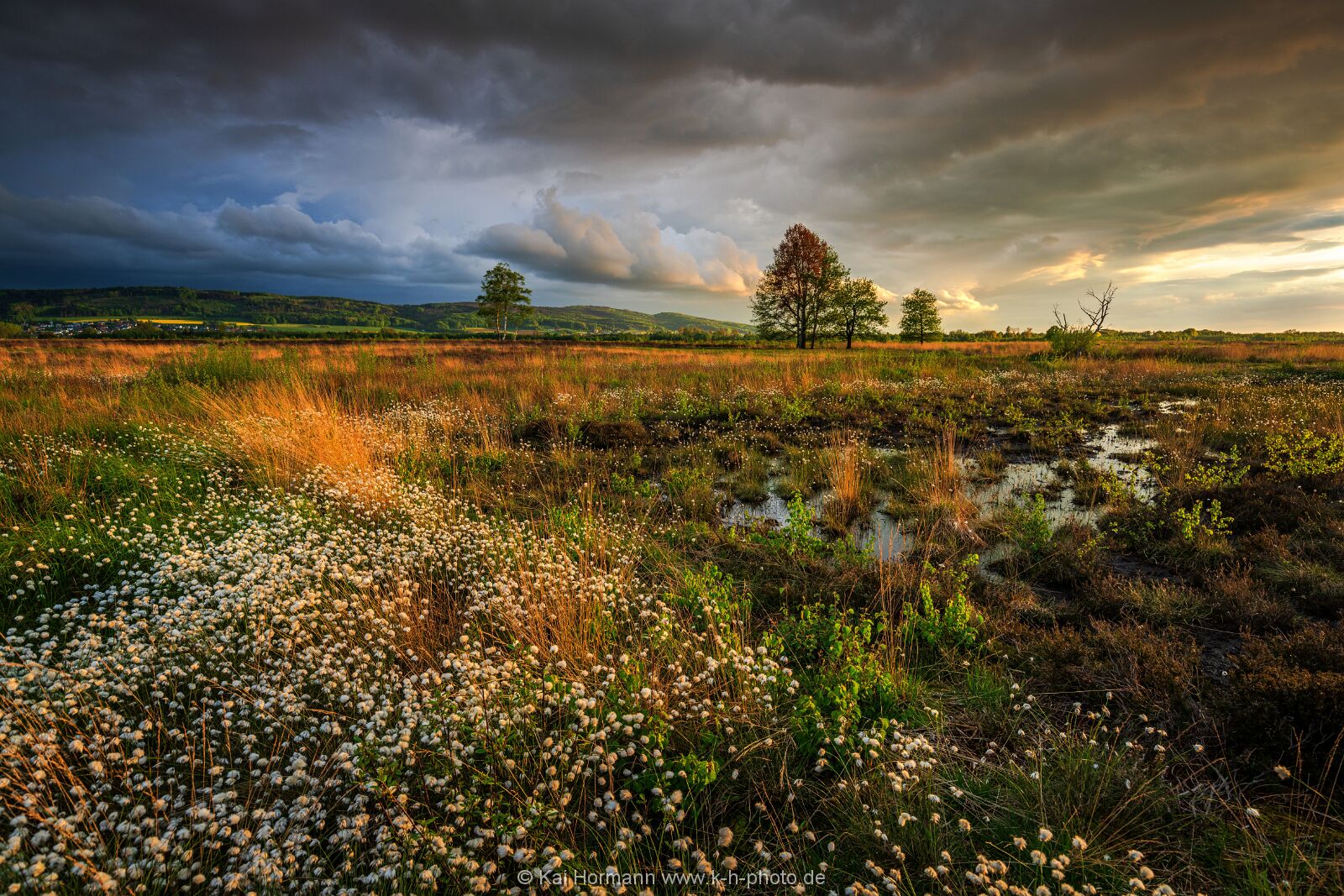Großes Torfmoor Das Große Torfmoor.