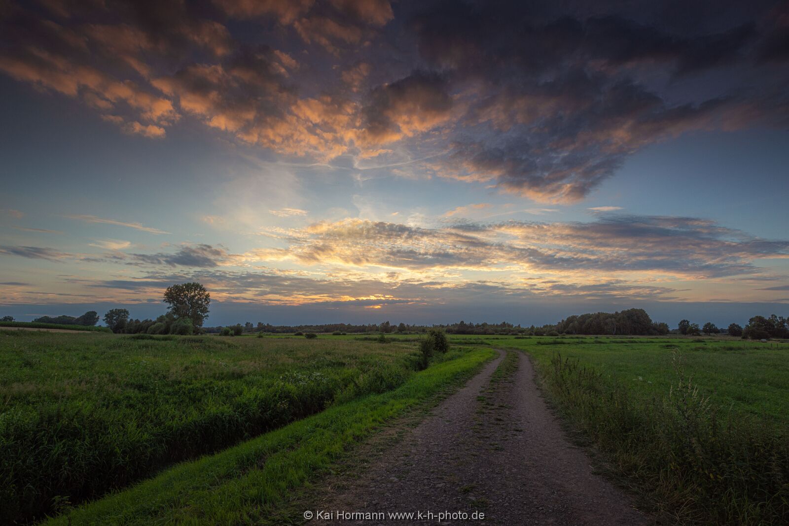Großes Torfmoor Das Große Torfmoor.