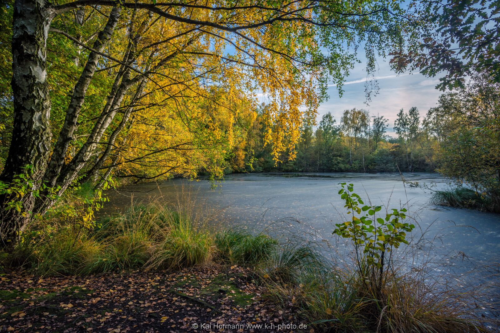 Großes Torfmoor Das Große Torfmoor.