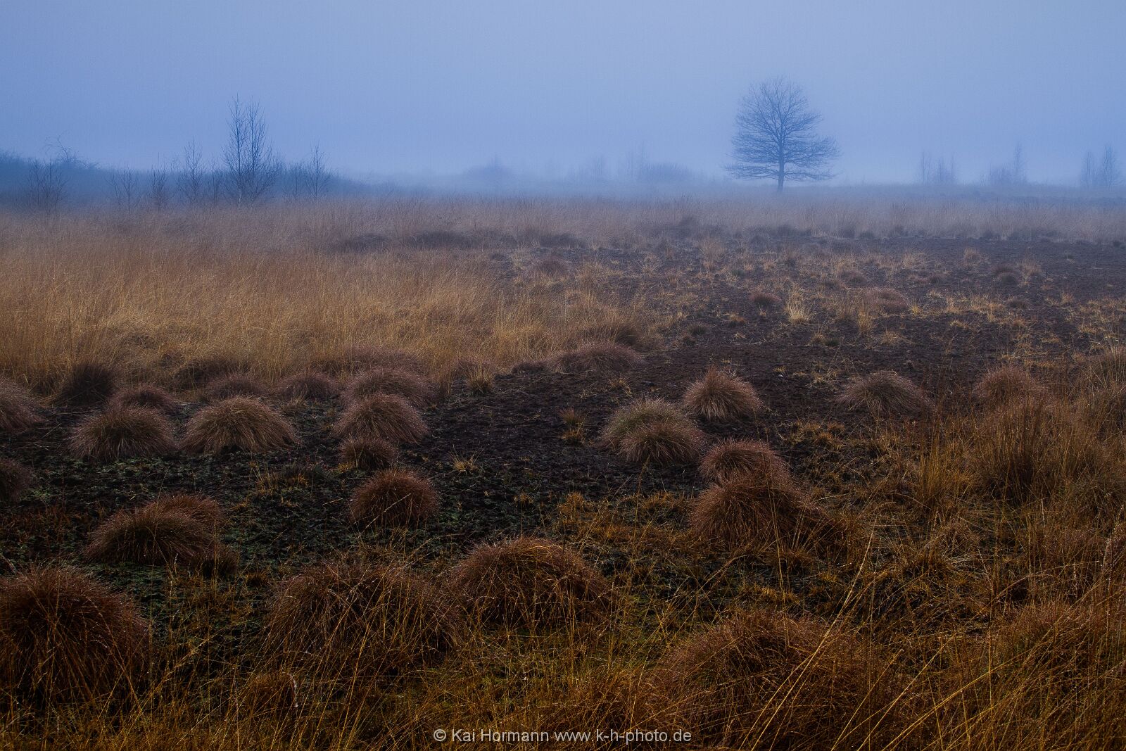 Großes Torfmoor Das Große Torfmoor.