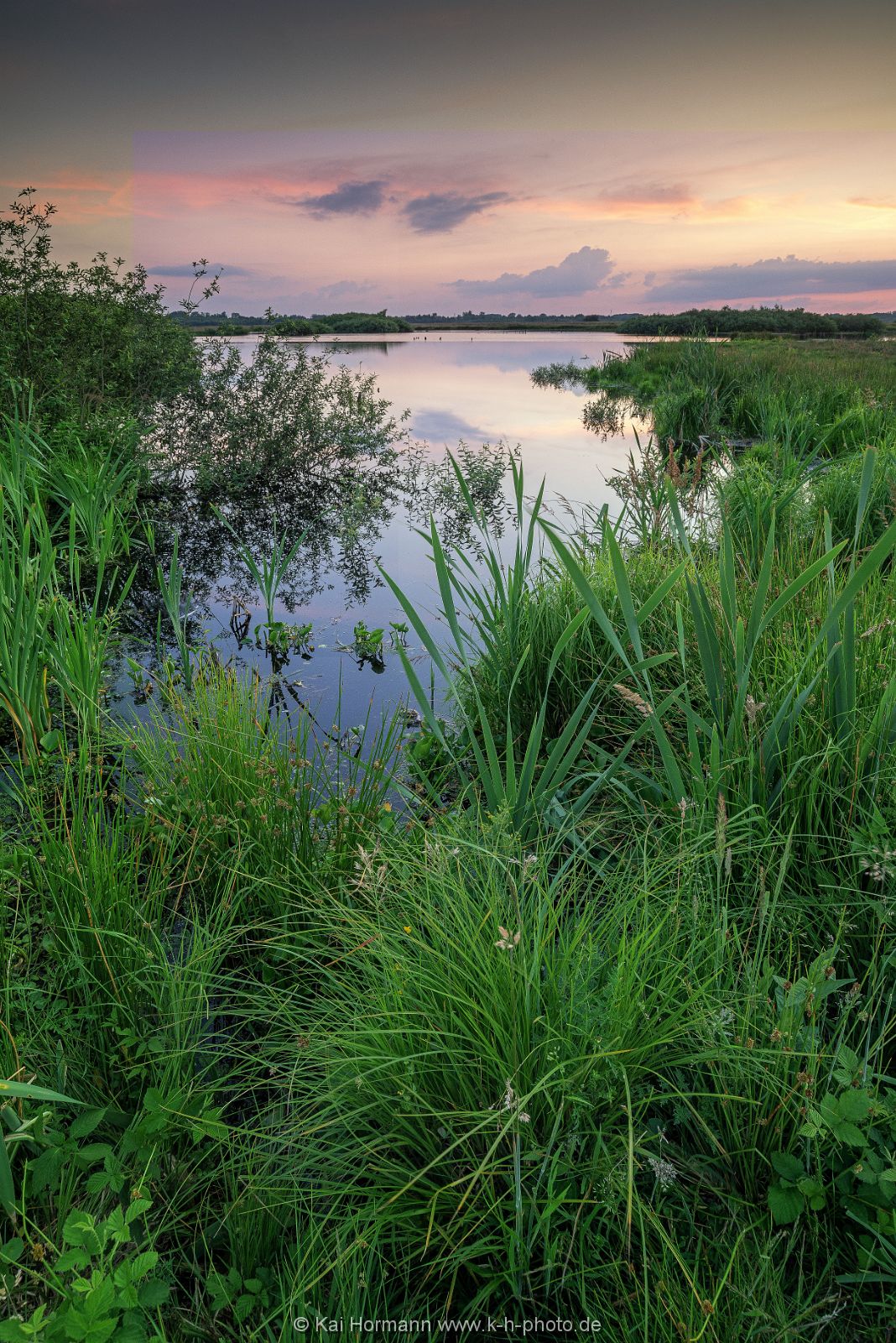 Großes Torfmoor Das Große Torfmoor.