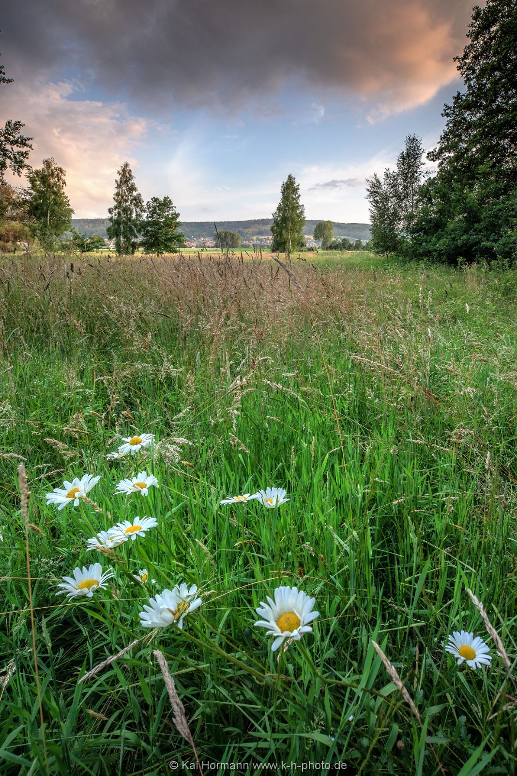 Großes Torfmoor Das Große Torfmoor.