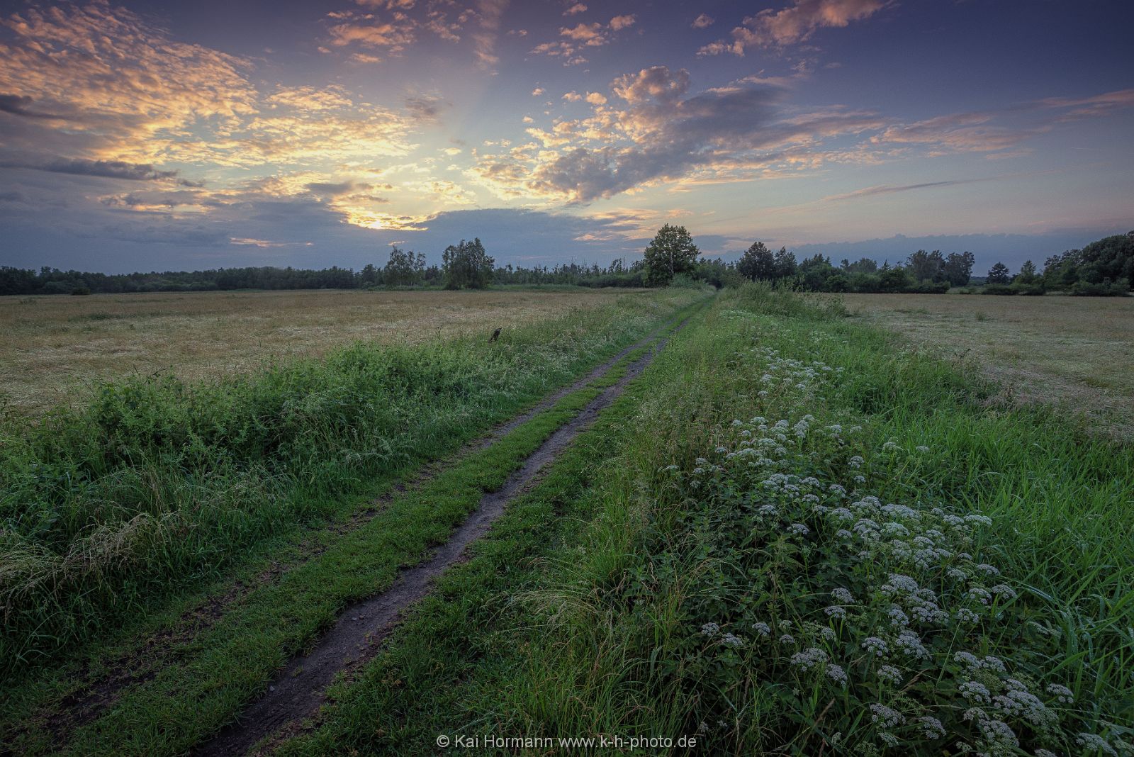 Großes Torfmoor Das Große Torfmoor.